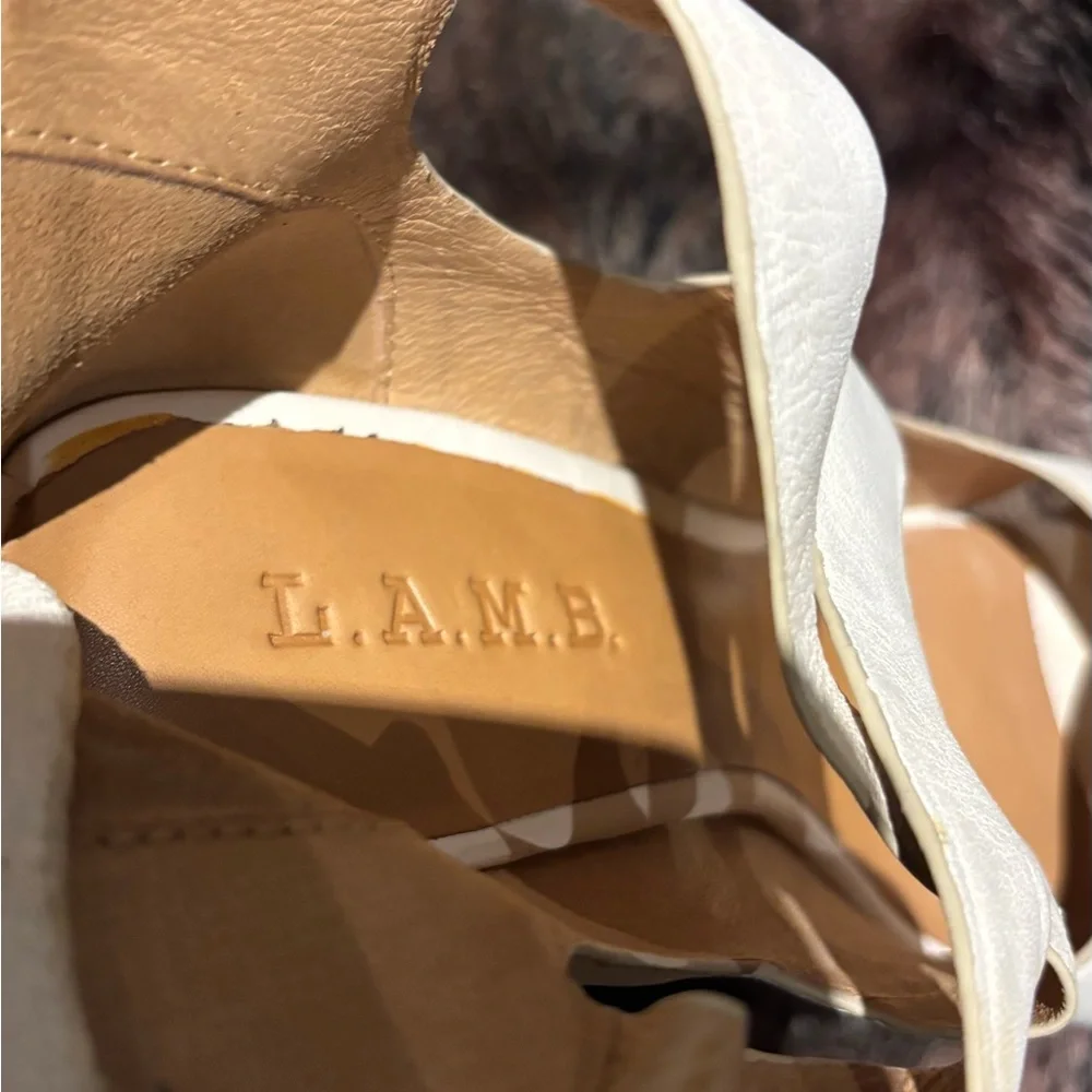 L.A.M.B. eye catching